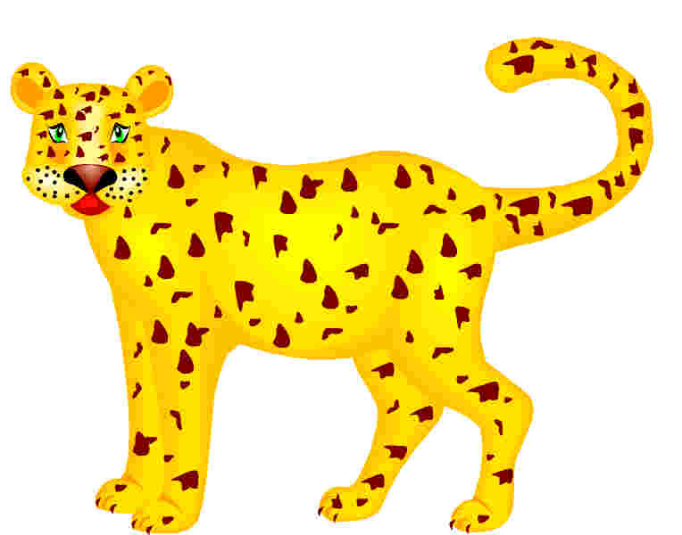 leopard.jpg