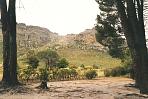 cedarberge1.jpg
