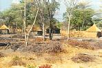 chobe1.jpg
