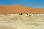 deadvlei3.jpg