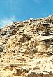 fishrivercanyon2.jpg