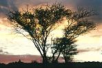 fishriversonnenuntergang1.jpg