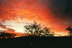 fishriversonnenuntergang2.jpg