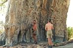 mahangobaobab2.jpg