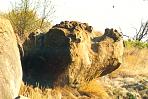 matobo2.jpg