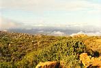 namaqualand1.jpg