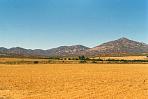 namaqualand2.jpg