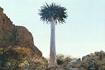 spitzkoppe6.jpg