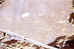 twyfelfontein5.jpg
