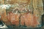 kakadunourlangierock3.jpg
