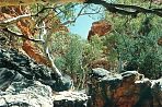 standleychasm5.jpg