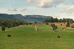 tasmancradlemountains1.jpg