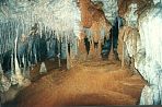 tasmanmarakoopacave3.jpg