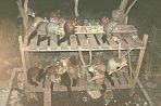 tasmanopossums2.jpg
