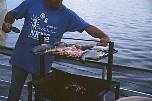 br96217grillaufocellaris.jpg