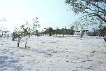 br962213sandinsel.jpg