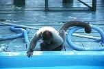 br962311towerlodgeaffeampool.jpg