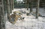 br9627manausjaguarimhotelzoo.jpg