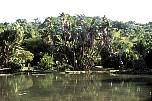 br963411rioseeimbotanischengarten.jpg