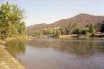 coloma.jpg