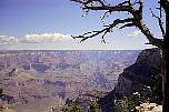 grandcanyon6.jpg