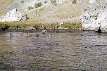 hotwatercreek3.jpg