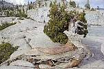 yosemite1.jpg