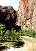 zion2.jpg